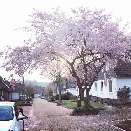 Appartement In Mit Garten